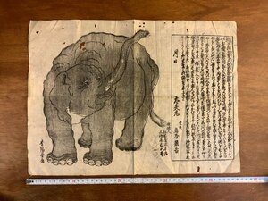 LL-6869 ■送料込■ 象図 天竺馬爾加国 江戸時代 錦絵 木版画 インド像 大象の図 青陽堂画 浮世絵 和書 古書 古文書 /くJYら