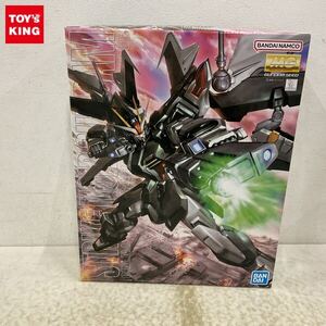 1円〜 MG 1/100 機動戦士ガンダムSEED C.E.73 STARGAZER ストライクノワールガンダム