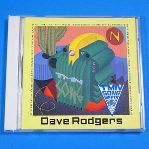 CD　デイヴ・ロジャース　DAVE RODGERS / TMN SONG MEETS DISCO STYLE　1992年　日本盤　ユーロビート　ALEPH