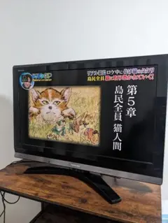 TOSHIBA 32H9000 液晶テレビ 32インチ