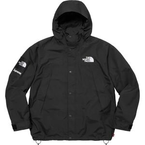 Supreme/The North Face Mountain Jacket. Original artwork by Raymond Pettibon. 2024AW Black Sサイズ 新品未使用 直営店購入 