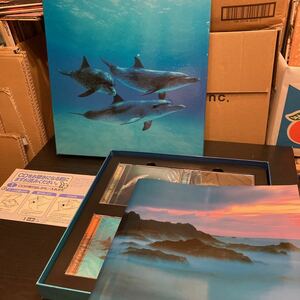 日本音楽教育センター【OCEAN BLUE】CD8枚 LPサイズボックス CD新品未開封品 状態良好