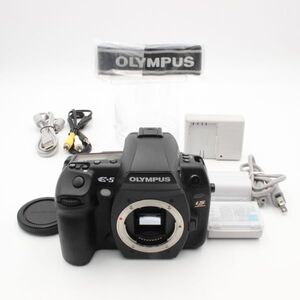 ショット数23812 【極美品】 OLYMPUS オリンパス E-5 ボディ 一眼レフ カメラ 60006