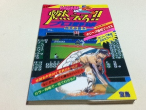 FC ファミコン 攻略本 燃えろ!!プロ野球 完全必勝本