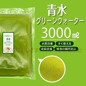 初心者からプロ【青水　グリーンウォーター　3000ml】メダカ　めだか卵　金魚　熱帯魚　ミジンコ　ゾウリムシ　ミドリムシ　PSB　どうぞ