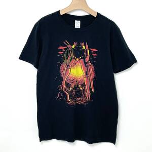 Wonder Woman/ワンダーウーマン ブラック GILDAN/ギルダン グラフィックTシャツ Lサイズ【TS-0041-905】