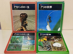 昭和【２冊】科学のアルバム　アリの世界　アカトンボの一生　栗林慧　佐藤有恒　あかね書房　レトロ　図鑑