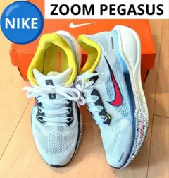 ❤極美品　AIR ZOOM pegasus 41 ズームペガサス41