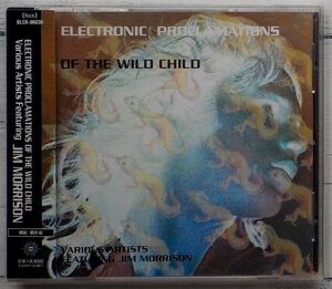 ジム・モリソン Electronic Proclamation Of The Wild Child Featuring Jim Morrison ★激レア！廃盤 国内盤帯付きCD