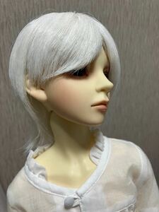 ウィッグ　耐熱ウィッグ　SD SD13 少年　男の子　ドール　bjd ホワイト　白髪　ショート　作家様