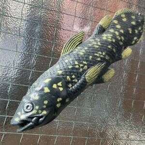 ネコポス230円発送　昔の　ビンテージ　シーラカンス　古代魚　キーホルダー　昭和　レトロ