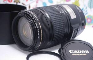 美品 Canon EF 75-300mm IS USM☆超望遠レンズ☆人気望遠！