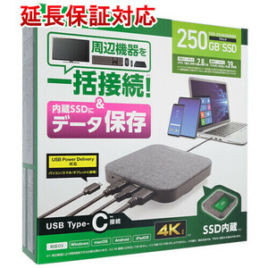 ELECOM エレコム 外付けSSD ESD-DSA0250GBK ブラック 250GB [管理:1000021048]