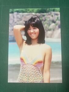 【レア】石野真子　写真　虹水着　白肌　たわわ胸元　ワキ　昭和タレント　70年代アイドル