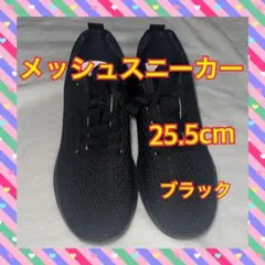 メッシュスニーカー 25.5cm ブラック