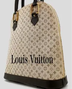 ✨美品 ✨LOUIS VUITTON ルイヴィトン アルマ オ　モノグラムミニ