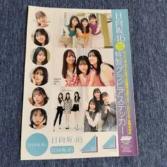 佐々木美玲河田陽菜上村ひなの佐々木久美濱岸ひより高橋未来虹/日向坂46ステッカー