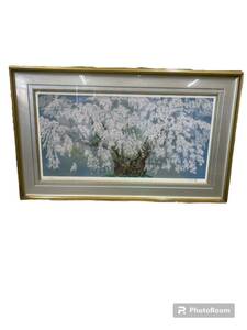 中島千波 坪井の枝垂桜 シルクスクリーン 美術品 版画 ※汚れ等あります。 サイズは画像7枚目でご確認ください。