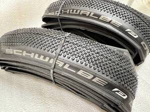 SCHWALBE G-ONE 700x35C 2本セット