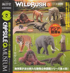 カプセルQ WILDRUSH Ⅳ 4章 アジア・熱帯編 全5種set ベンガルトラ/オランウータン/アジアゾウ/コツメカワウソ/コモドドラゴン