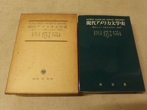 0731065h【現代アメリカ文学史】1964年5/20初版発行/16.5×22cm程度/中古本