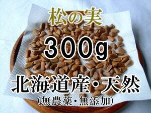 【リス オウムのおやつ】 北海道産 天然 松の実 300g 手作業・こだわり