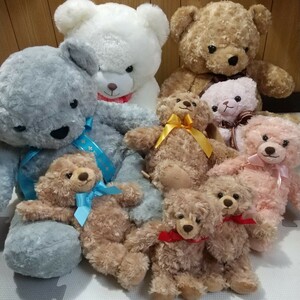 クマ ぬいぐるみ ９点セット Bear くまちゃん