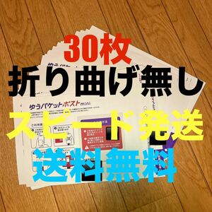 送料無料 30枚セット ゆうパケットポストmini 専用封筒 折らずに 折り曲げ無し ミニ クーポン利用 ポイント消化 梱包資材 緩衝材 即日発送