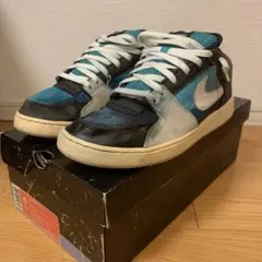 NIKE SB ZOOM TEAM EDITION