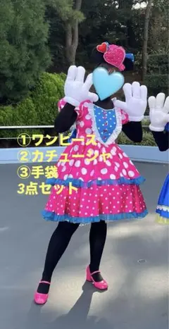 コスプレ問屋　ミニーのファンダーランド　パルパルーザ　コスプレ　Dハロ仮装