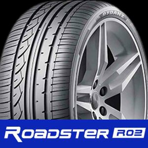 245/35ZR19 レイダン RYDANZ ROADSTER R02 1本単位 Z0034 245 35 19 19インチ 国産コンフォートタイヤ シバタイヤ