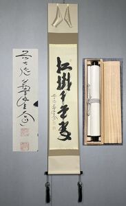 【模写】Y-838掛軸 紙本 共箱 茶掛 茶道 茶道具 華道 花道具 西垣大道 臨済宗大徳寺派極楽寺住職『松樹千年翠』