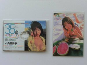 小向美奈子　週刊プレイボーイ 創刊35周年記念　カード型CD-ROM＆BOMB　トレカ（当時噂のカードです。）