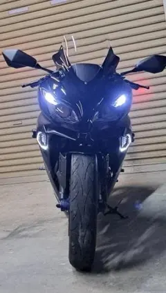 スモーク ZX-25R LED フロントウィンカー ファイバー