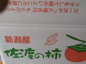 新潟県佐渡産　おけさ柿10kg1箱 規格外品