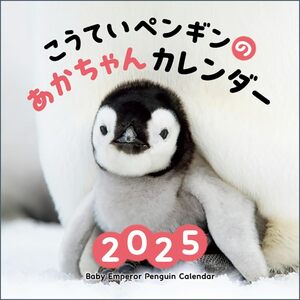 こうていペンギンのあかちゃんカレンダー2025（月めくり・壁掛け） ([カレンダー])