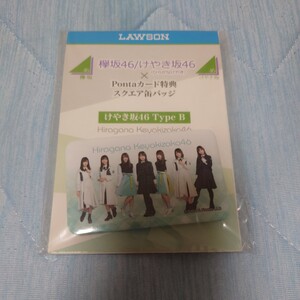 【未開封】【入手困難品】 Pontaカード 欅坂46 けやき坂46 缶バッジ ポンタカード TypeB ローソン