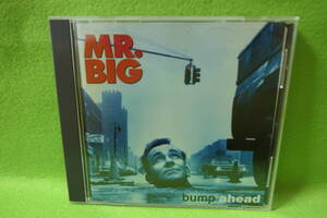 【中古CD】 MR.BIG / BUMP AHEAD / ミスター・ビッグ / バンプ・アヘッド / WILD WORLD 収録