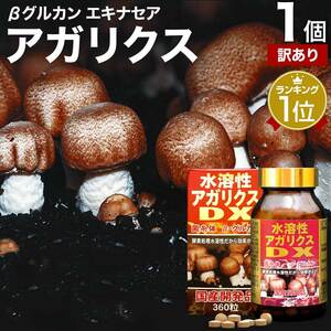 訳あり サプリ アガリクス アガリスク アウトレット 360粒 約30日分 賞味期限2024年11月以降 送料無料 宅配便