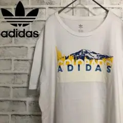 00s⭐️adidas COLORADO Tシャツ L トレファイル 白×ブルー