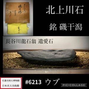 【信濃美術石博物館】水石 盆栽 北上川石 ウブ 銘 磯干潟 長谷川龍石翁 遺愛石　横23.5cm 骨董盆石古美術鑑賞石観賞石太湖石中国古玩 6213