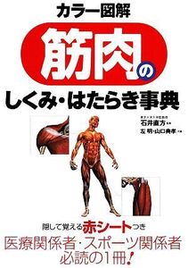 カラー図解 筋肉のしくみ・はたらき事典/石井直方【監修】,左明,山口典孝【共著】