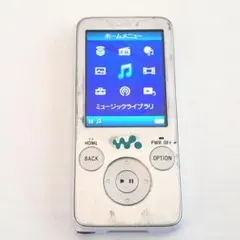 SONY WALKMAN ソニー ウォークマン NW-S636F 4GB