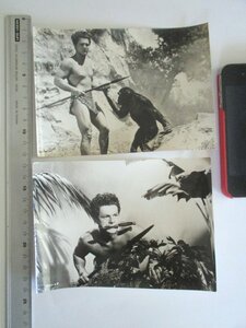 【送料込み】中古品 「ジャングル・ボンバ」 ジョニー シェフィールド ブロマイド 1960年代テレビ映画 Bomba, the Jungle Boy 写真２枚