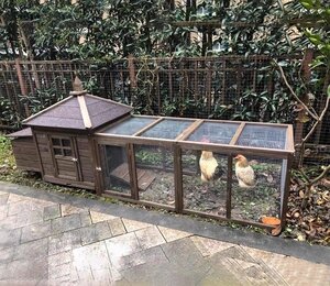 鶏小屋 屋外 庭用 ニワトリかご トリ小屋 別墅 ウサギの巣 ペット用品 鳥かご ニワトリ屋 アヒル 鳥かご ペット