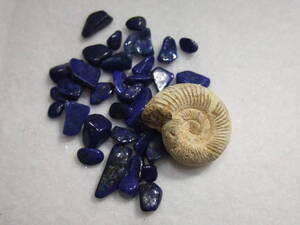 アンモナイトammoniteペリスフィンクテスとラピスラズリlapis lazuli 中東産セット　1　研磨原石等 64.3ct 天然石!貝巻きが綺麗　765-7