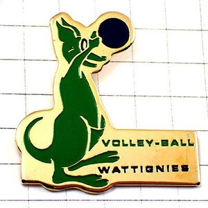 ピンバッジ・カンガルーのバレーボール選手 WATTIGNIES VOLLEYBALL FRANCE◆フランス限定ピンズ◆レアなヴィンテージものピンバッチ