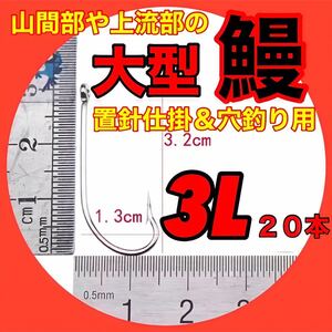 ウナギ針　うなぎ釣り　置針　穴釣り　ミミズ　鮎　ぶっこみ　ウナギ　うなぎ　鰻　ふっこみ　仕掛　鰻釣り　ウナギ釣り