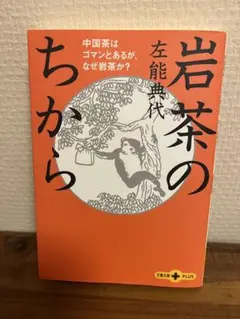 岩茶のちから 中国茶はゴマンとあるが、なぜ岩茶か?