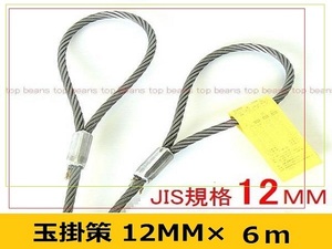 ☆JIS 玉掛策【１２ｍｍ×６ｍ】10本set 国内加工４分 台付にも””３万円以上送料無料””新品(ロック・鉛止め・ワイヤロープ・スリング）